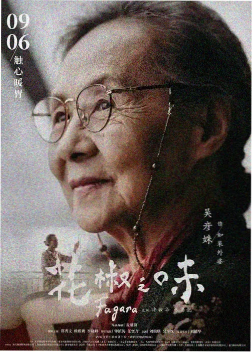 奇米影视777图鉴 灯下裁缝 旧布织纹档案书脊
